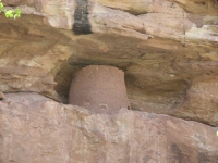 Granary covered with adobe